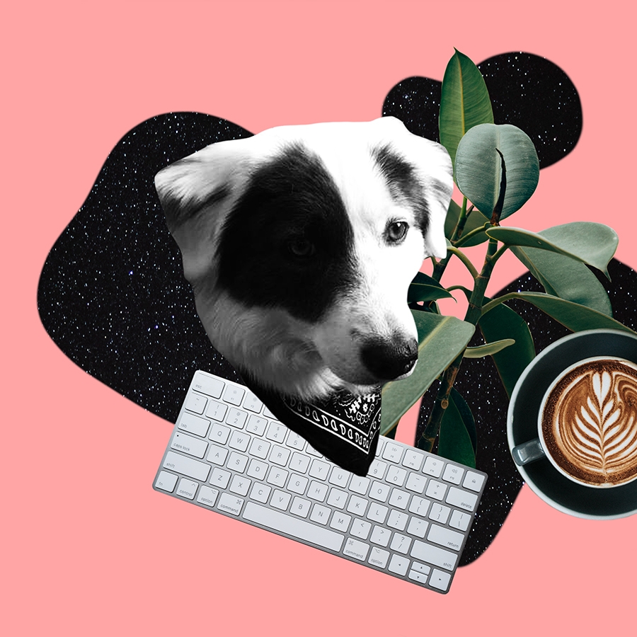 (Office) Dog Days of Summer.